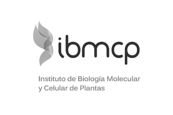 Instituto de Biología Molecular y Celular de Plantas Primo Yufera (IBMCP)