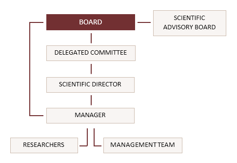 Organizational Structure