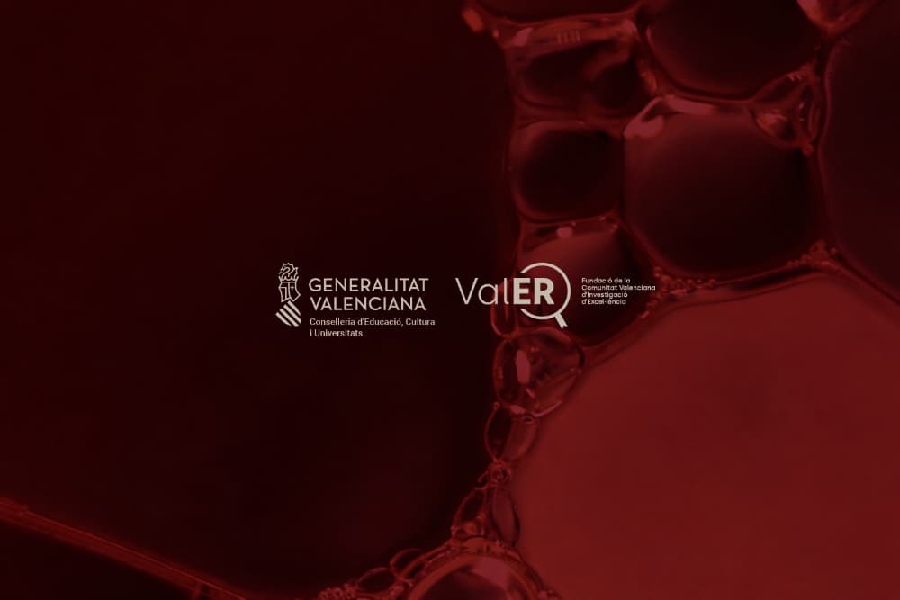 Resultado Convocatorias ValER 2025